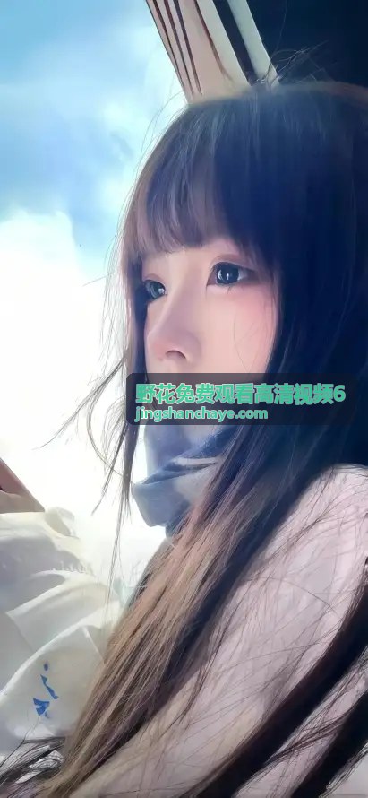 野花免费观看高清视频6 热门电影